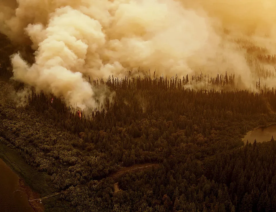 Forest Fire On The Slopes Of Hills And Mountains 1453X1125