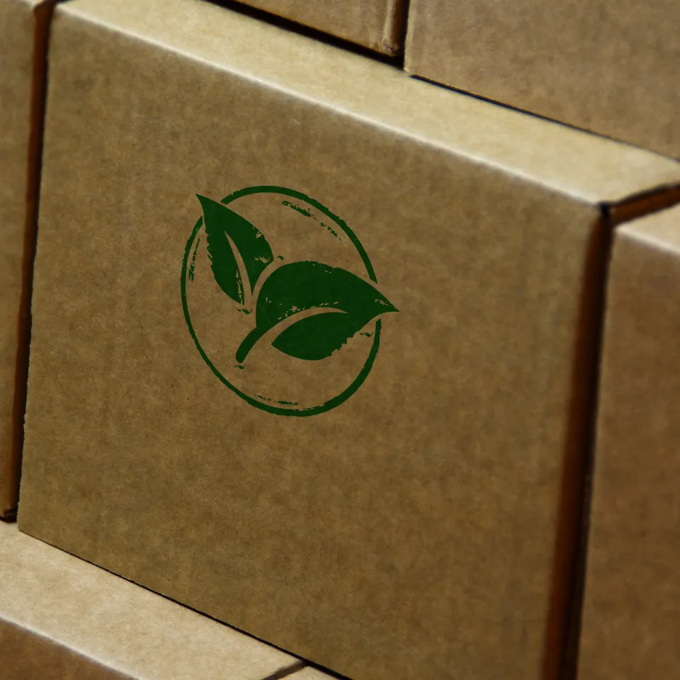 Cardboard Box