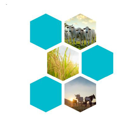 Guide Methane Emissions Reduction Cover Sized