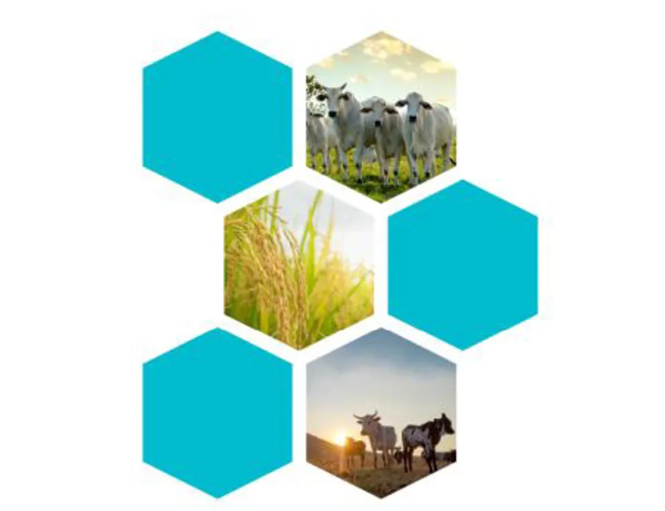 Guide Methane Emissions Reduction Cover Sized