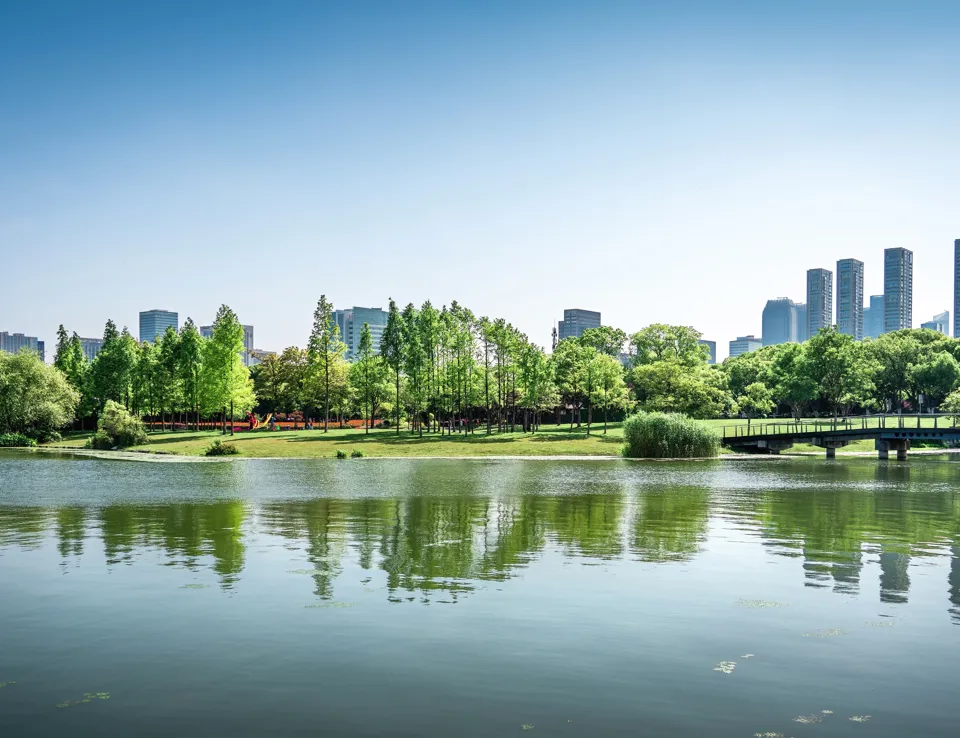 City And Lake