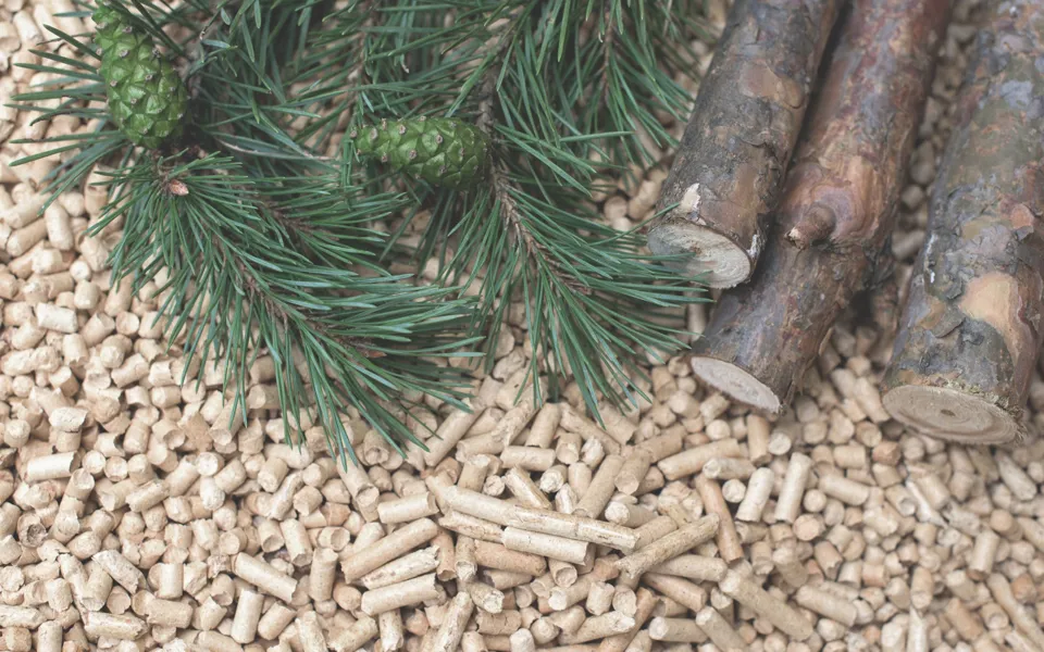 Pine Leaf And Stick On Wood Pellets