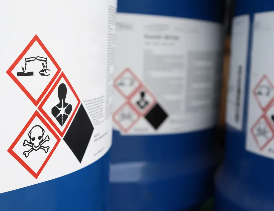 Adobestock 490373519