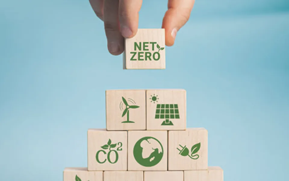 Net Zero Wooden Blocks