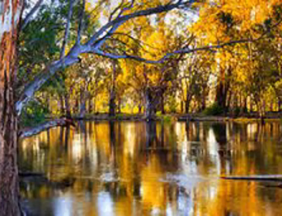 700X200 Water Market Insights 600X171