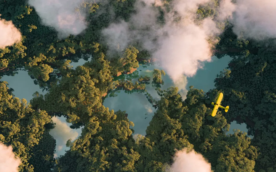 Yellow Plane Flying Over Forest (2)