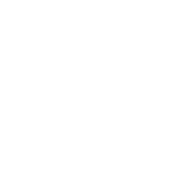 Instagram White Icon