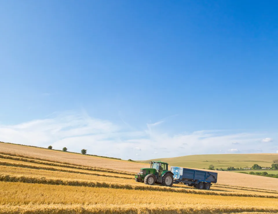 Tractor Pulling Trailer In Sunny Rural Field