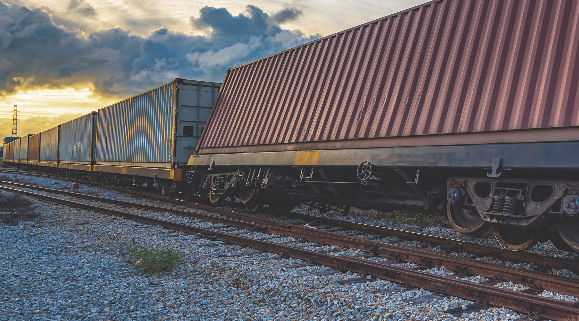 Shutterstock 1205372872Cut Sized