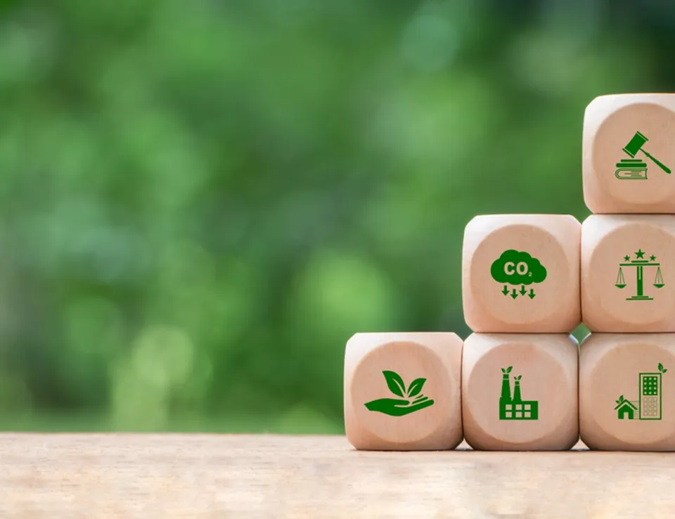 Regulatory Demands For Natural Capital