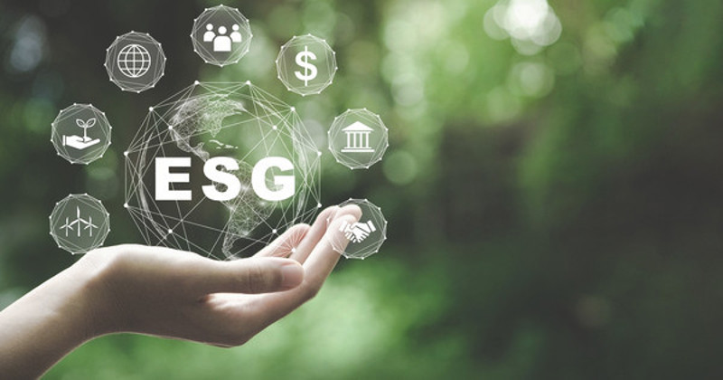 ESG graphic in a hand over a soft focus green background