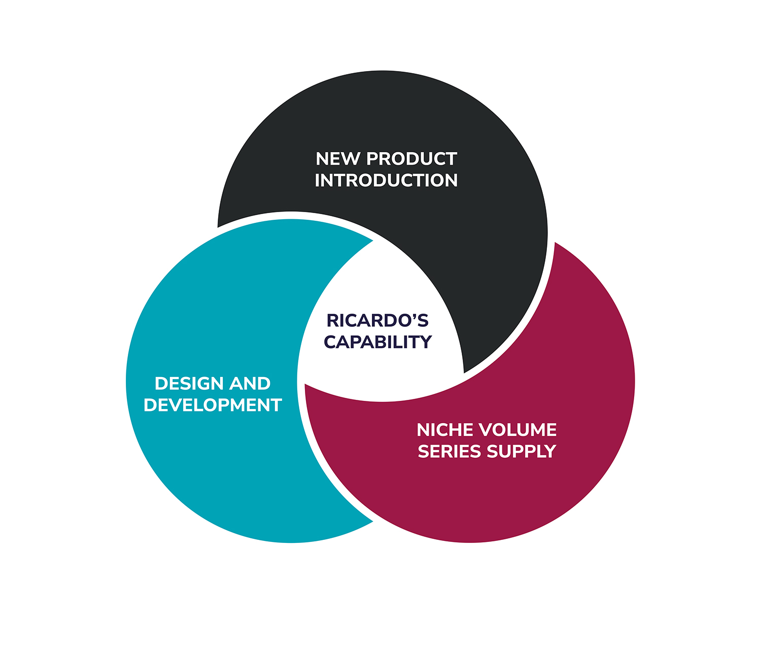 Venn Diagram Web (2)