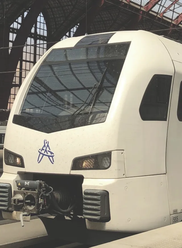 Ricardo Certification Flirt Testing With Smart