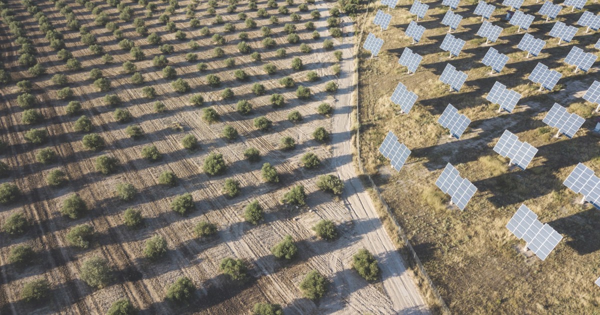 Empowering the Energy Industry Towards a Sustainable and Carbon-Neutral Future