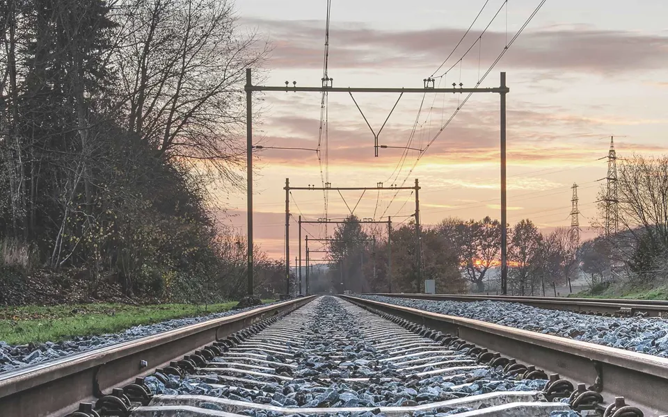 Shutterstock 1266125869 Pupil