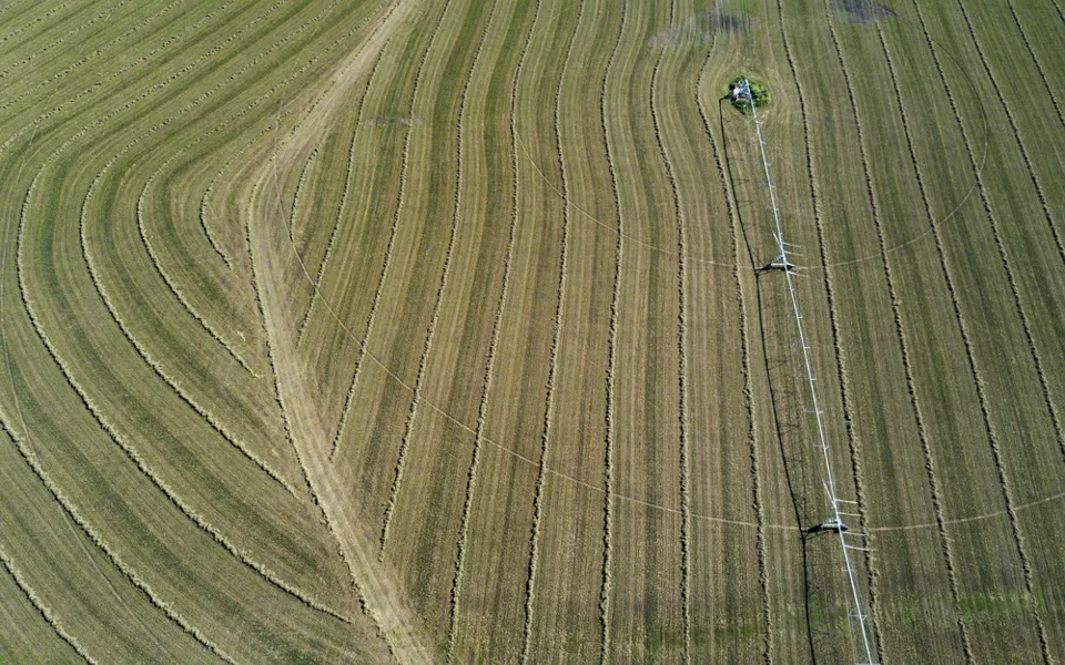 Agriculture Aerial Panorama