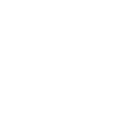 LinkedIn White Logo png