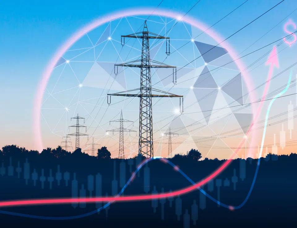 Energy security - bulb