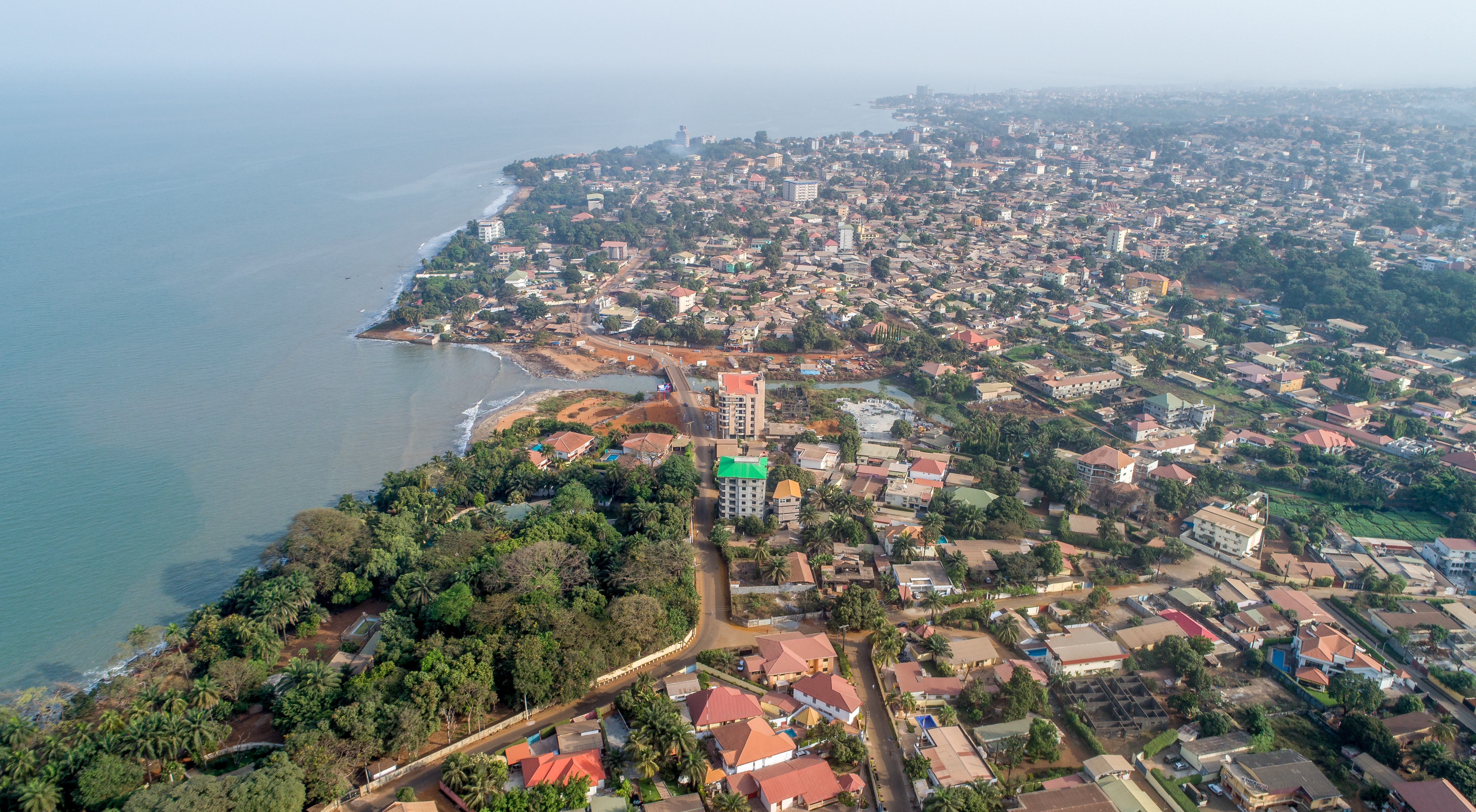 Shutterstock 1193405245