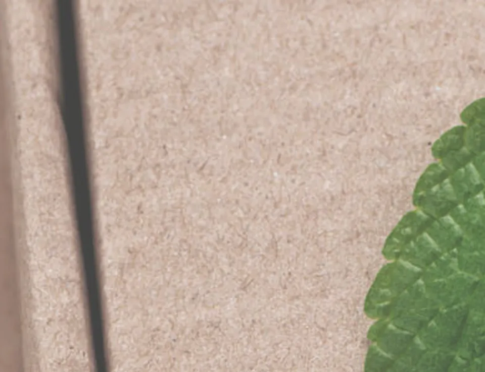 Sustainable Packaging