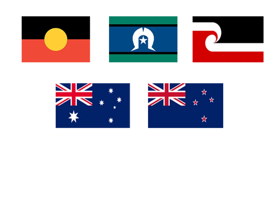 Flags 3