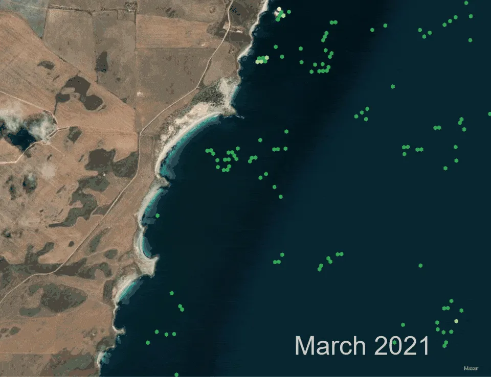 Earth Observation Compressed