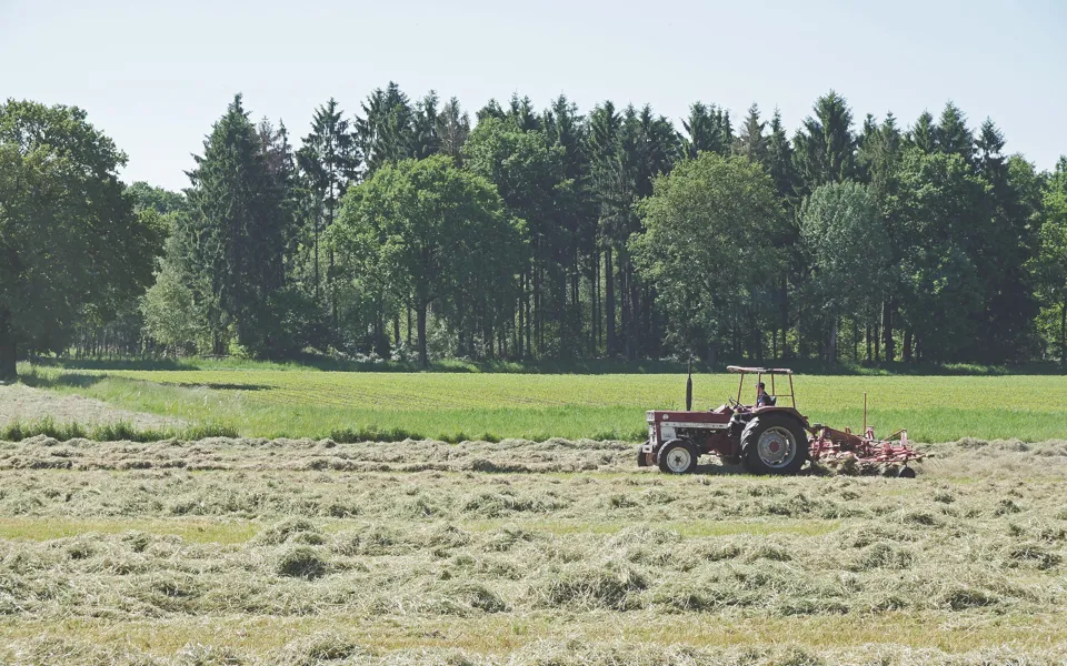 Making Hay Tractor Field 1920