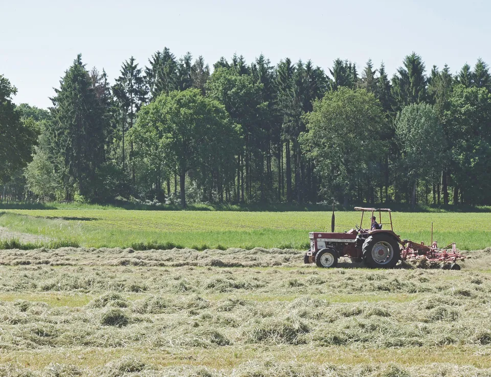 Making Hay Tractor Field 1920