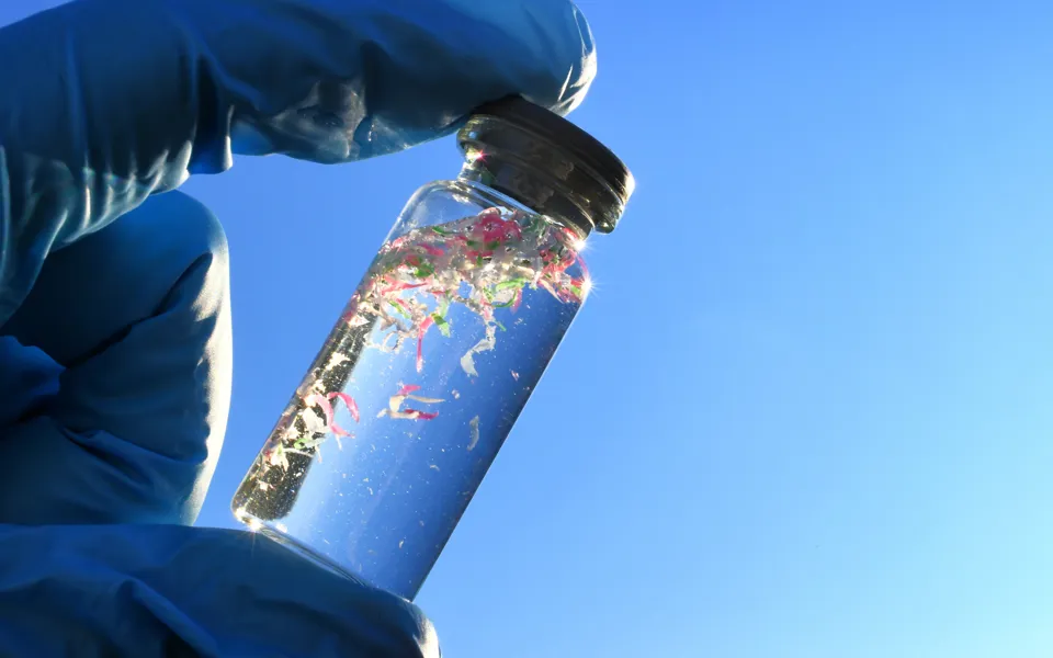 Water Sample Ecotox Ect 2411593493