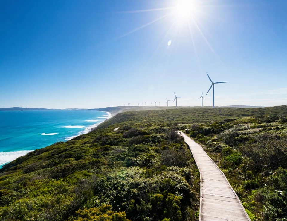 Albany Windfarm