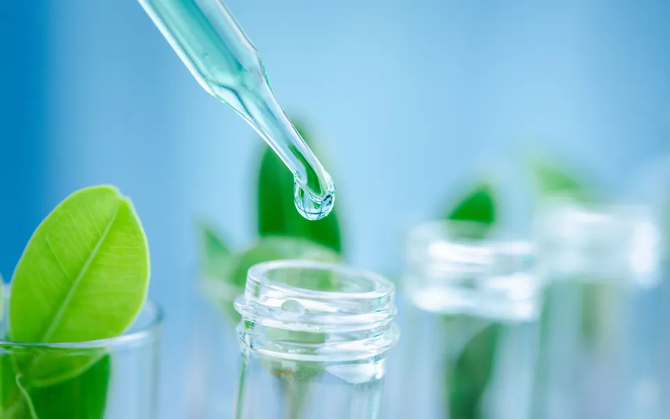 Sustainability Chemical Industry