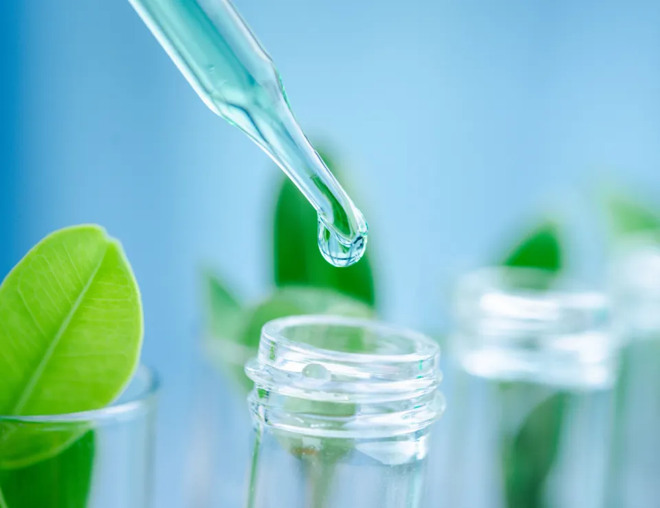 Sustainability Chemical Industry