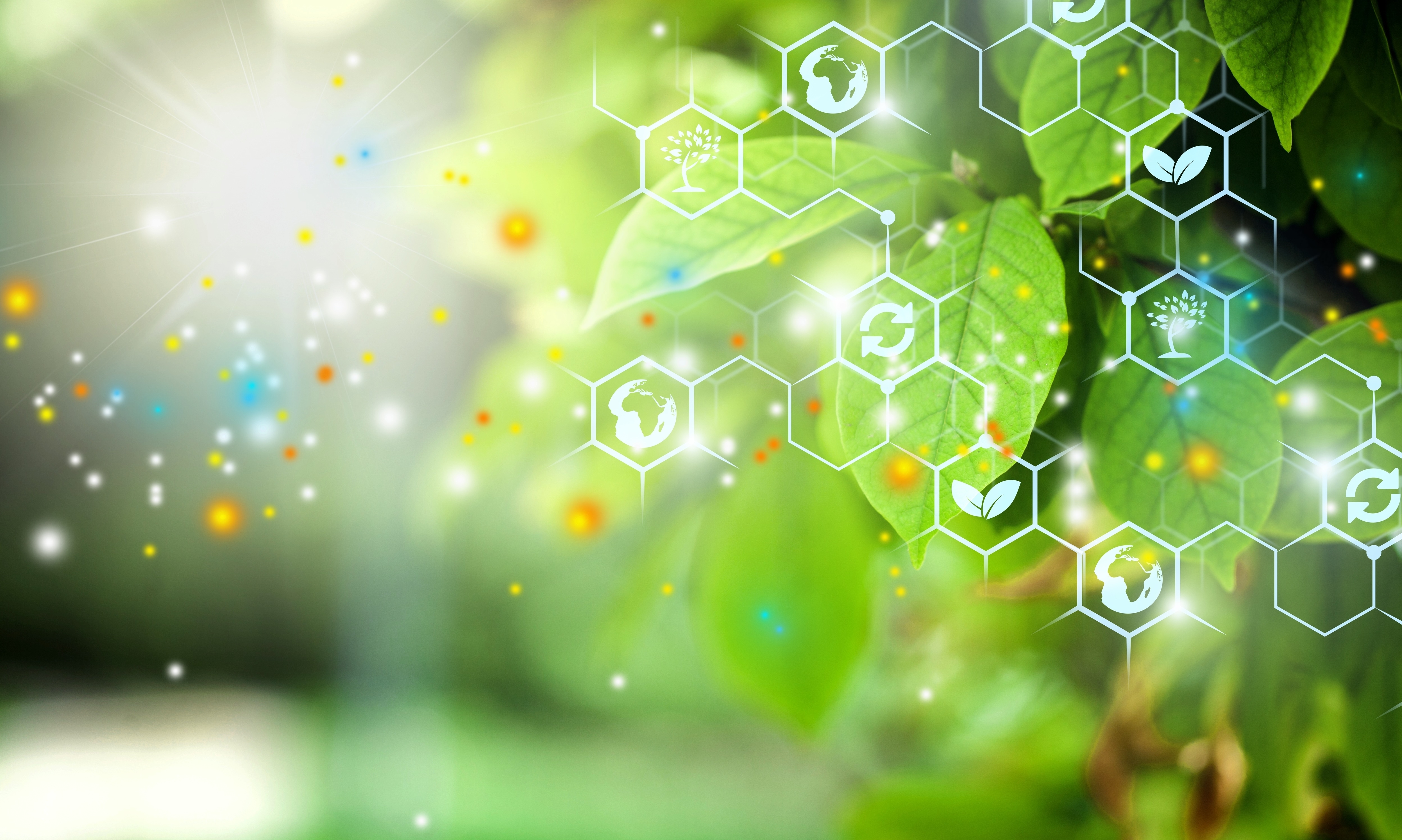 Shutterstock 2088744355