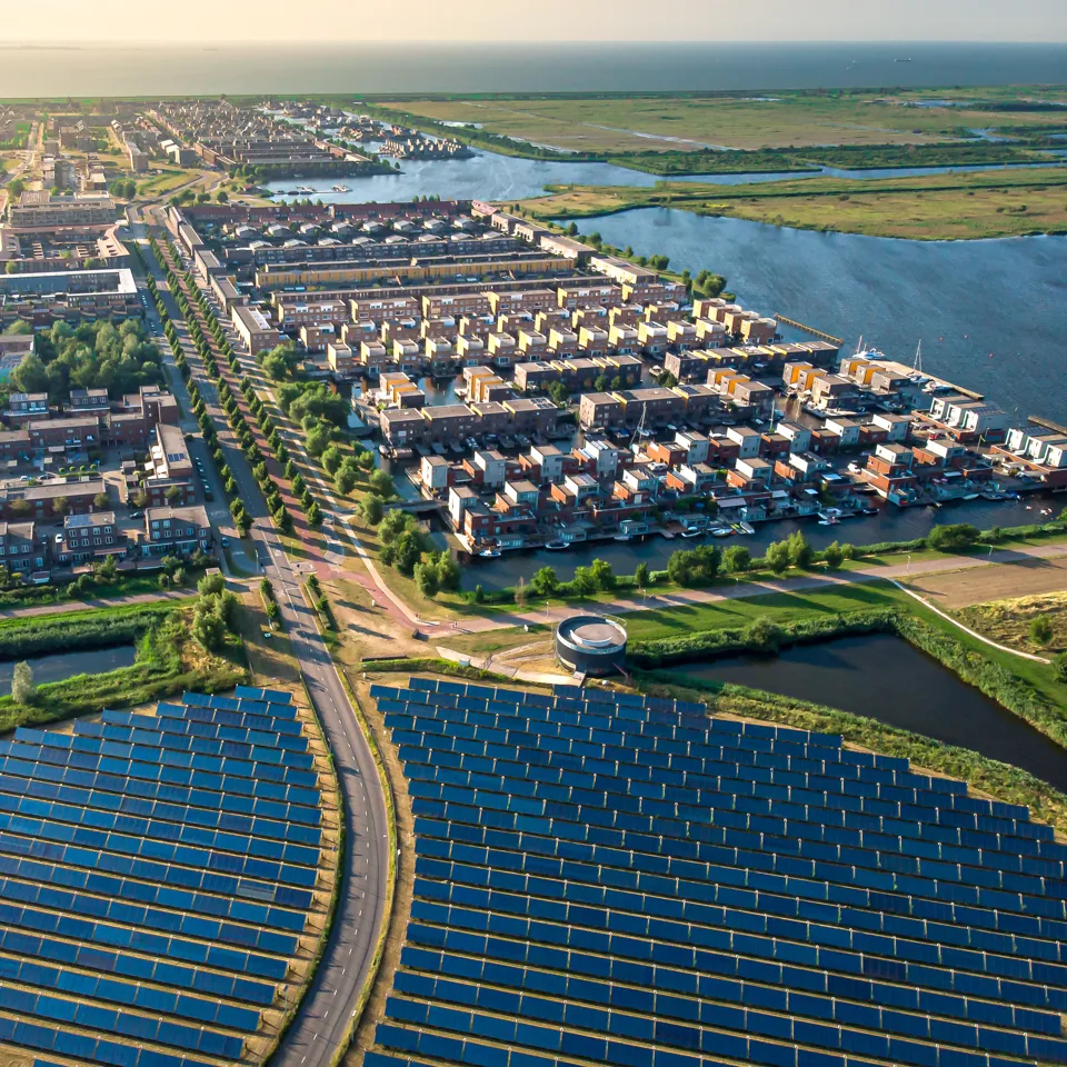 Shutterstock 1522386716