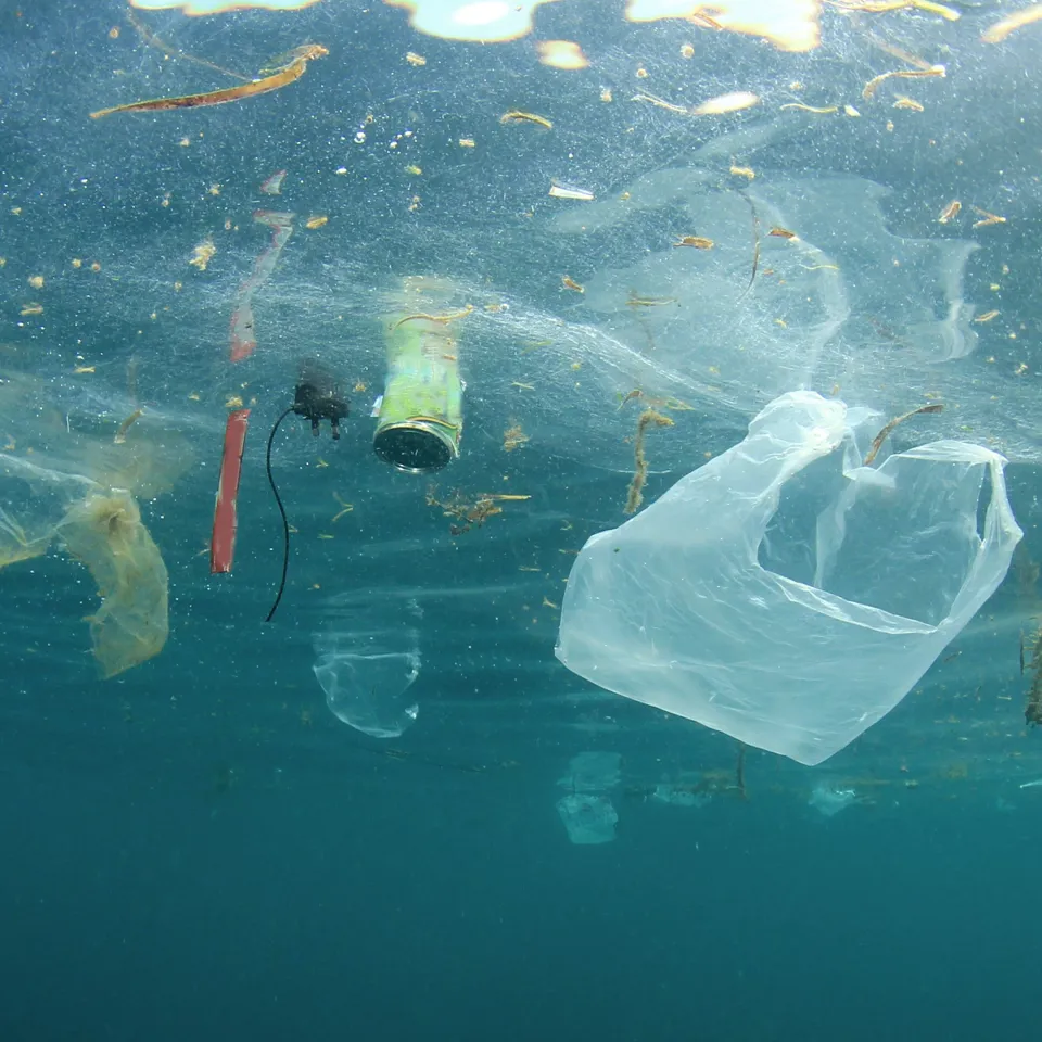 Waste In Water