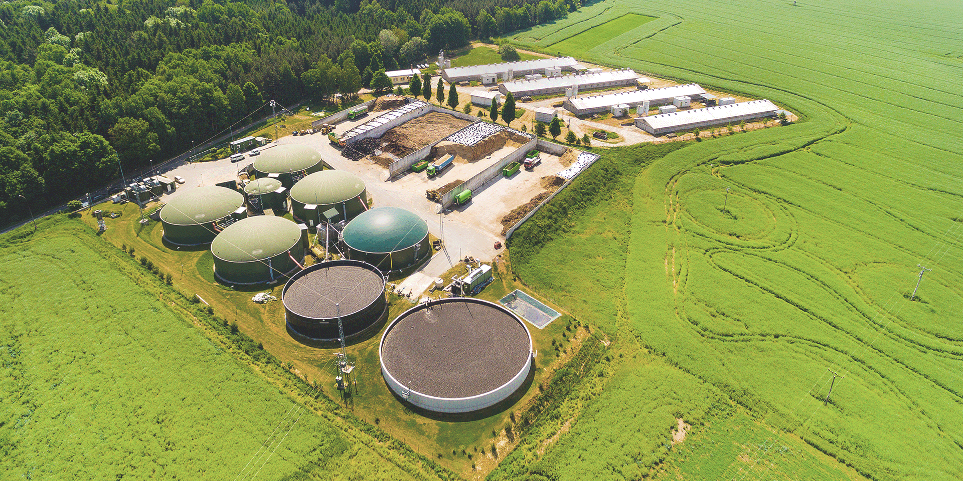 Biomass plant