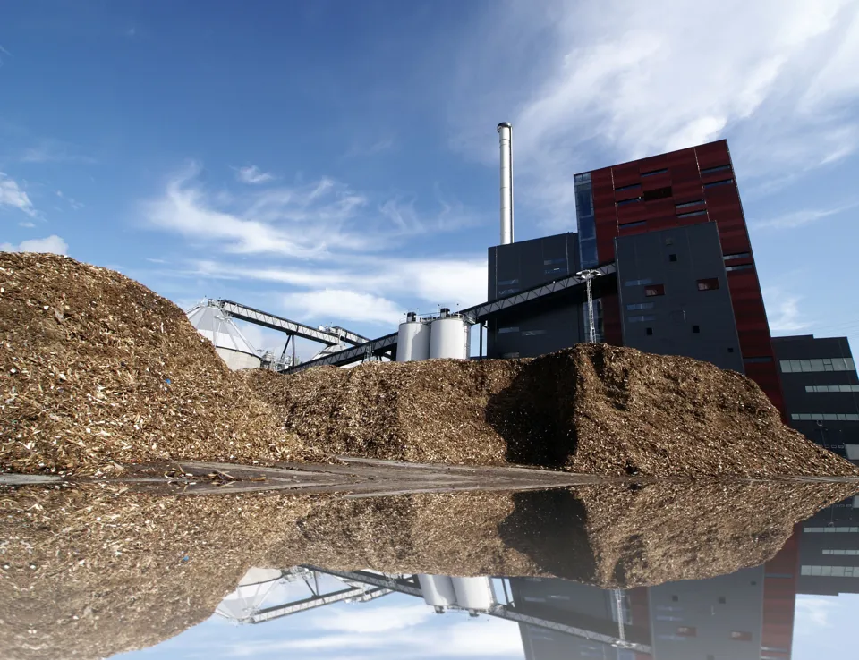 Ricardo Supporting Biomass Analysis And Implementation