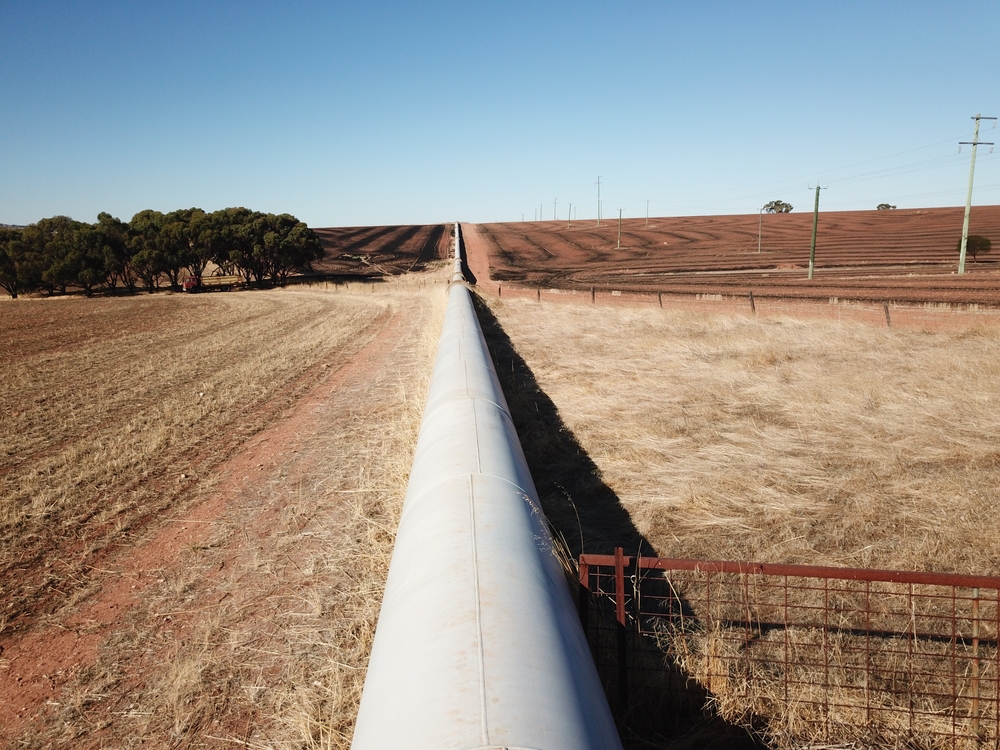 Shutterstock 2666744433