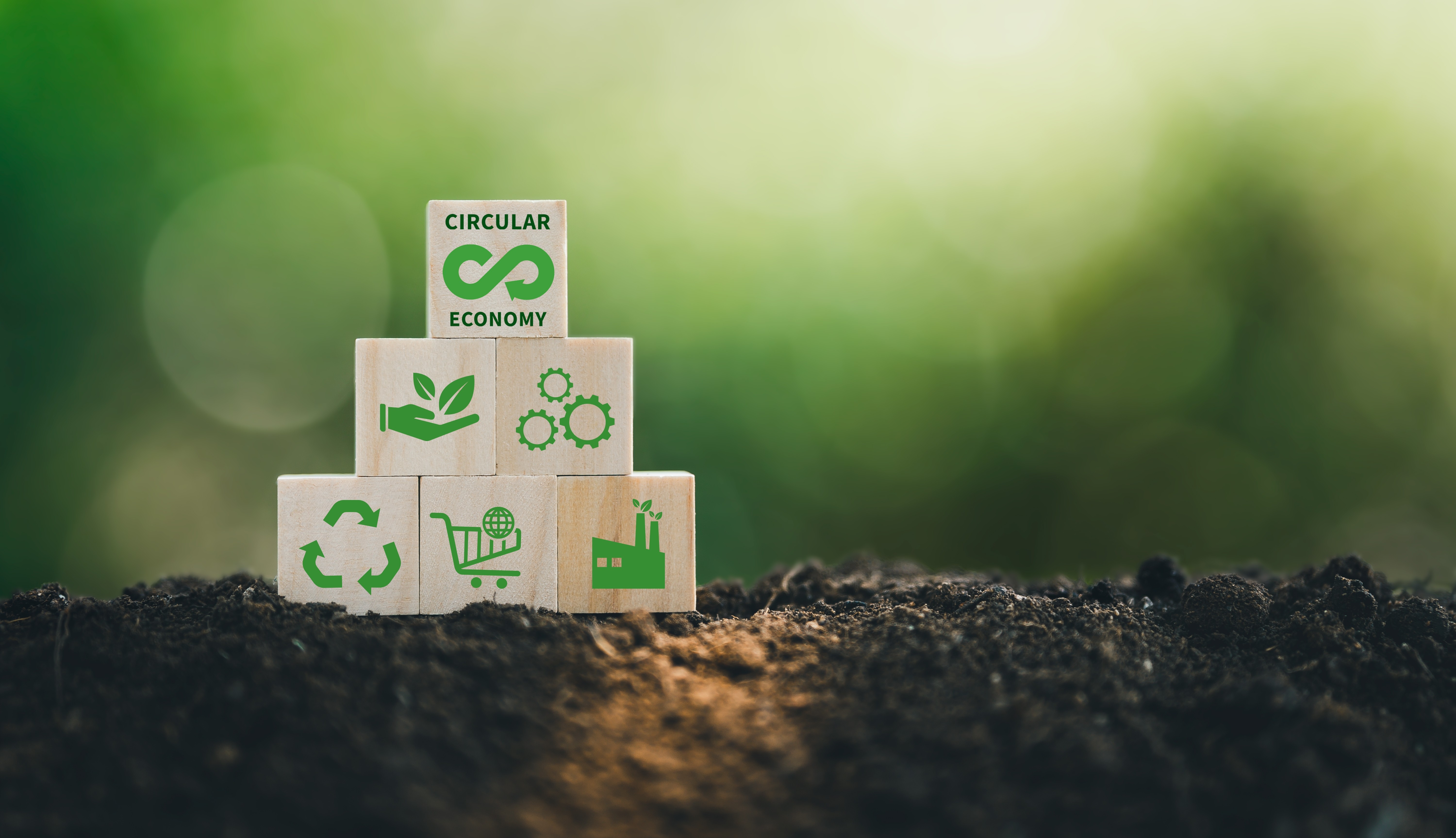 Shutterstock 2151679909 (1)