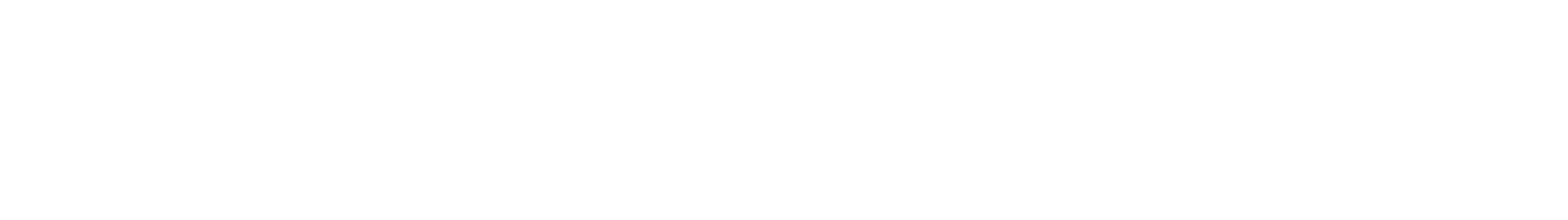Ricardo White Inline Logo