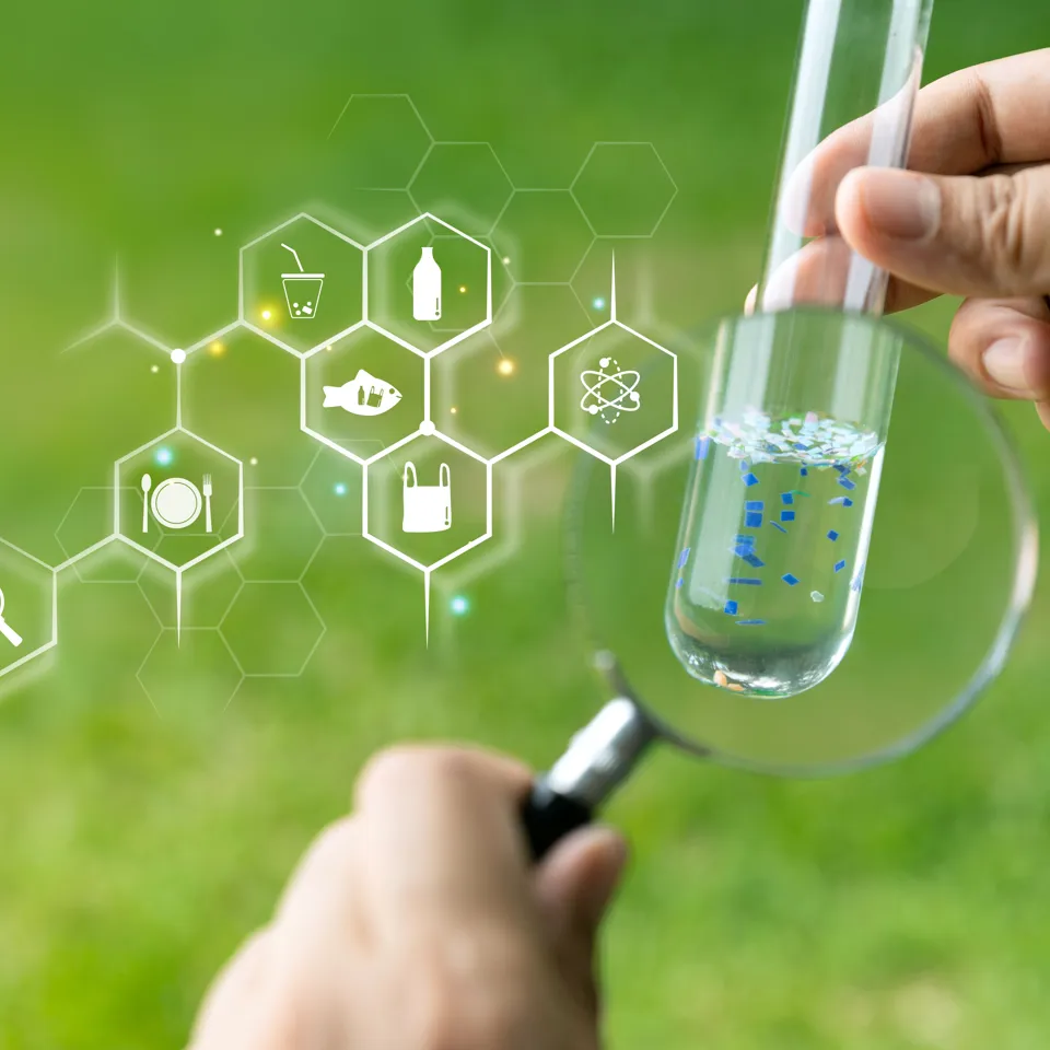 Environmental Sciences 2496037237