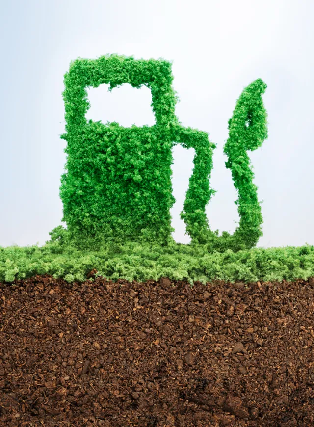 Green Energy Concept Grass Growing Shape 370949984