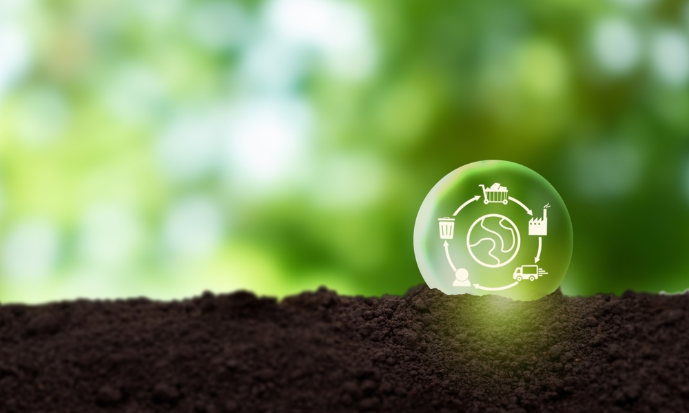 Environmental Impact Assessment