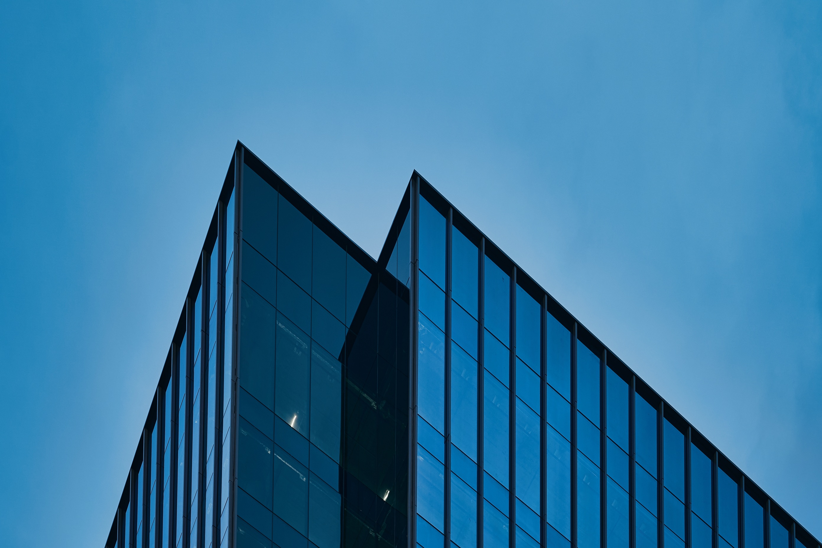 Financial Service Consulting Ricardo