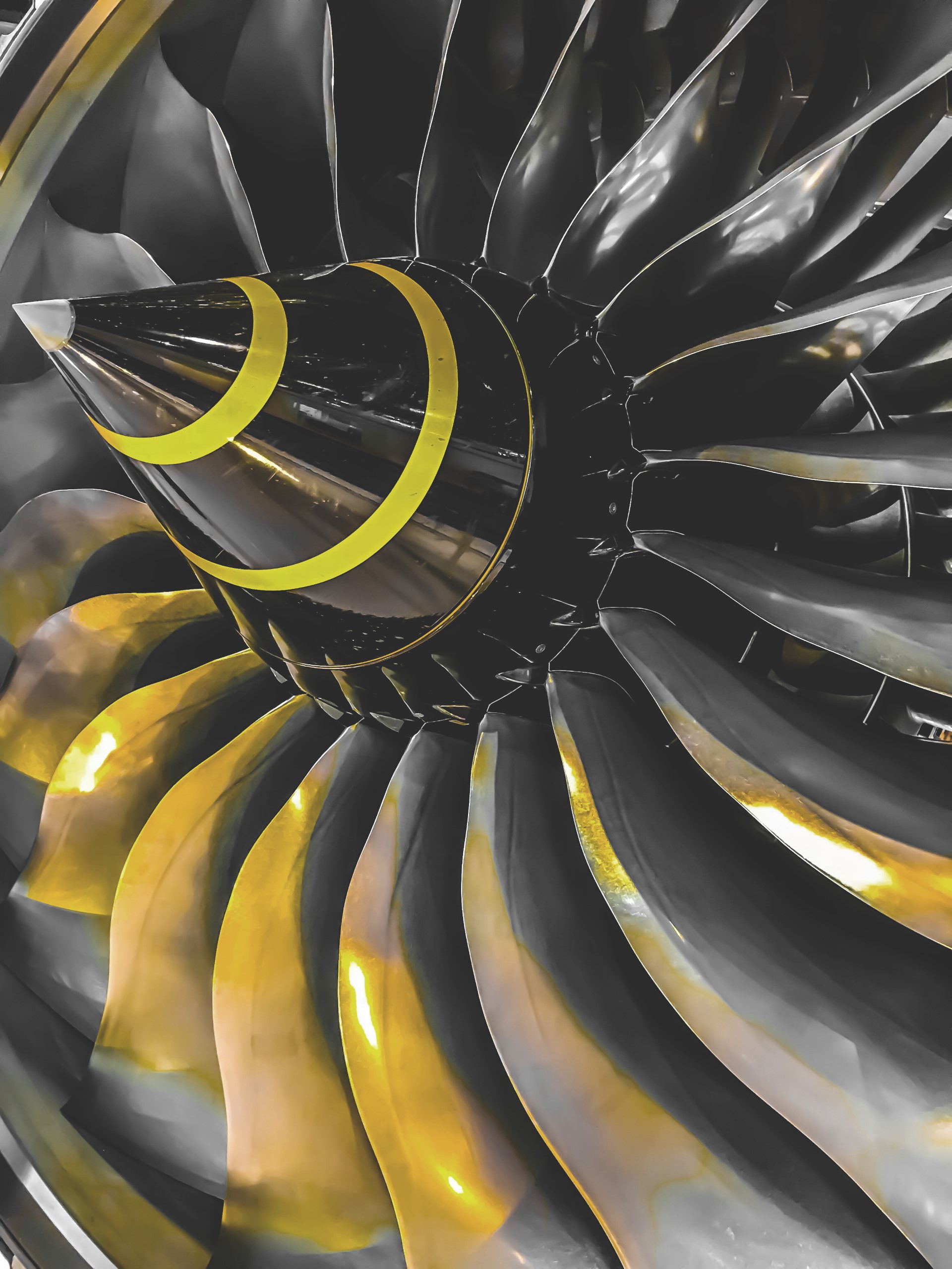 Ricardo Group Focussed 009