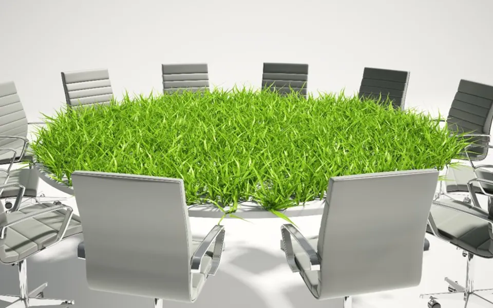 Conference Table With Grass On It