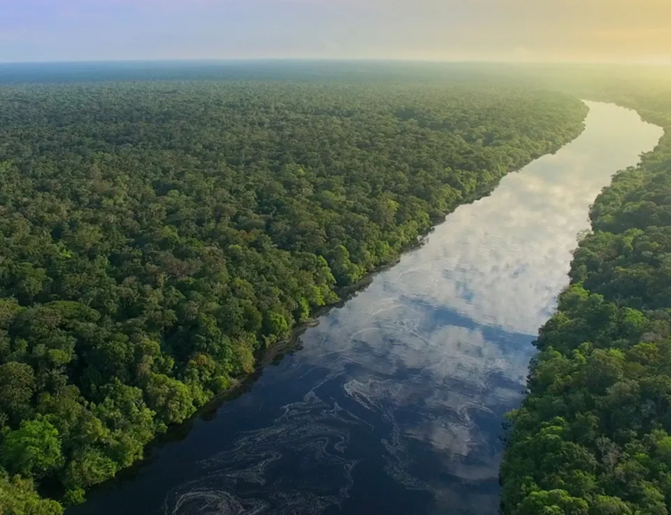 Natural Capital Management Through Ricardos Nature Plus